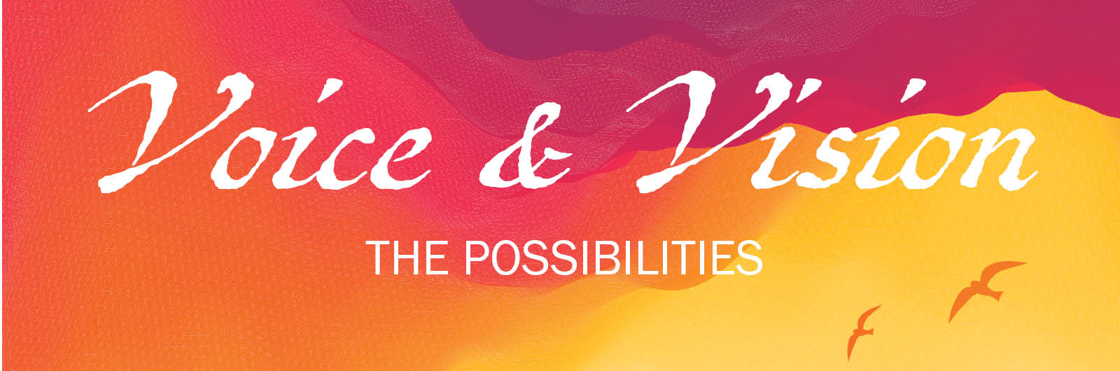Vision and Voice: The Possibilities